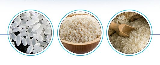 FRK Rice Plant Fortified Rice Making M (4)