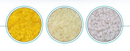 FRK Rice Plant Fortificata Nutritional Rice Making M (6)